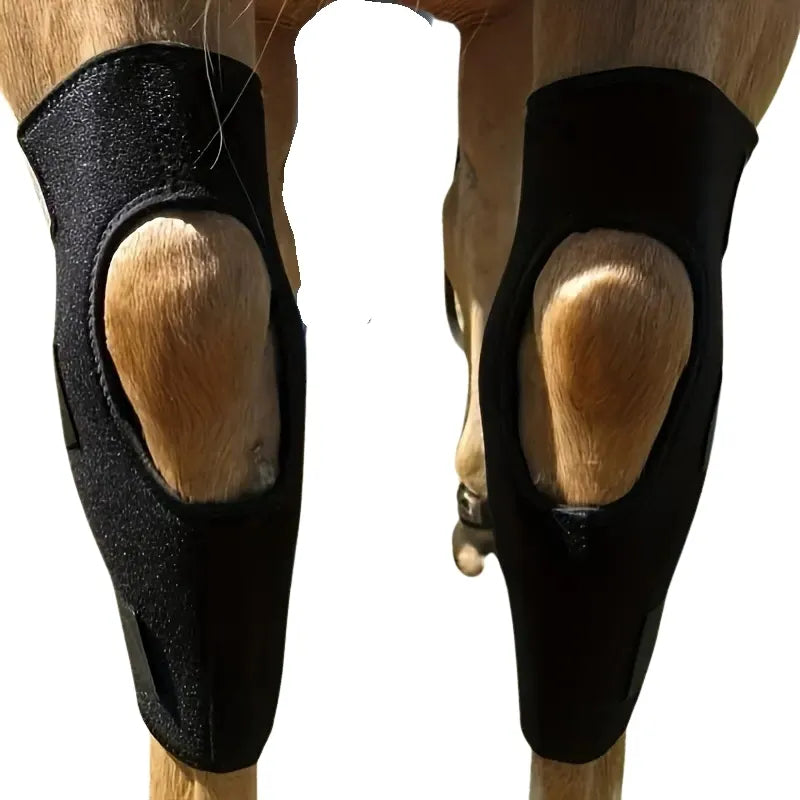 Horse Knee Pads – Joint Support and Protection