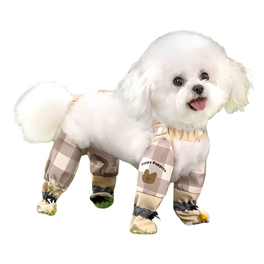 Dog outfit