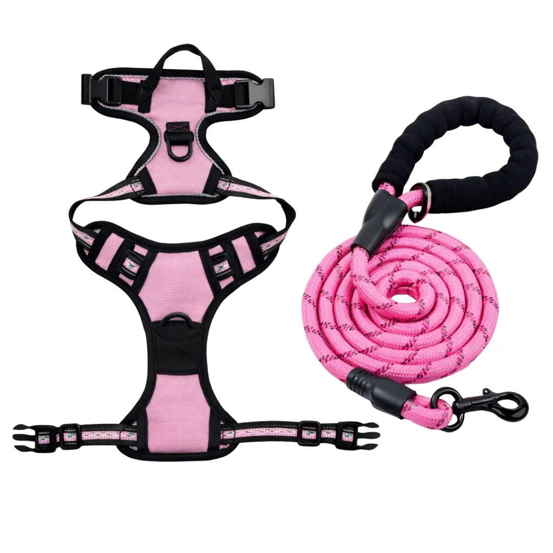 Harnais pour chiens