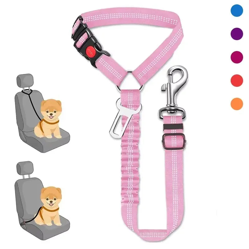 Laisse auto