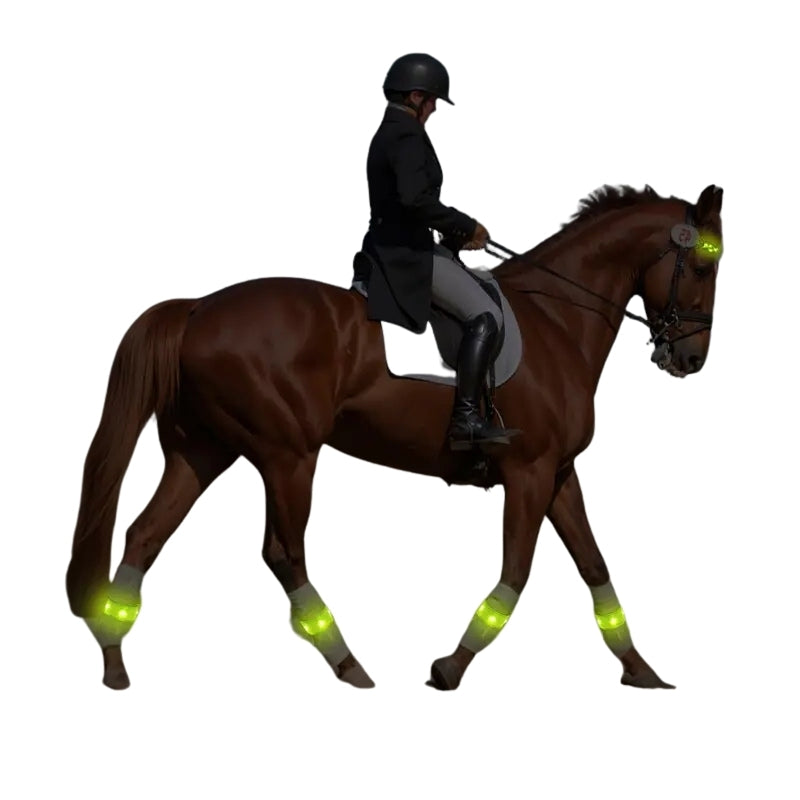 Bande Lumineuse Réfléchissante LED