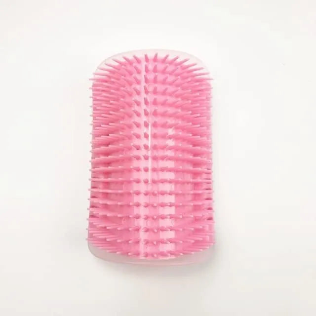 Brosse de massage