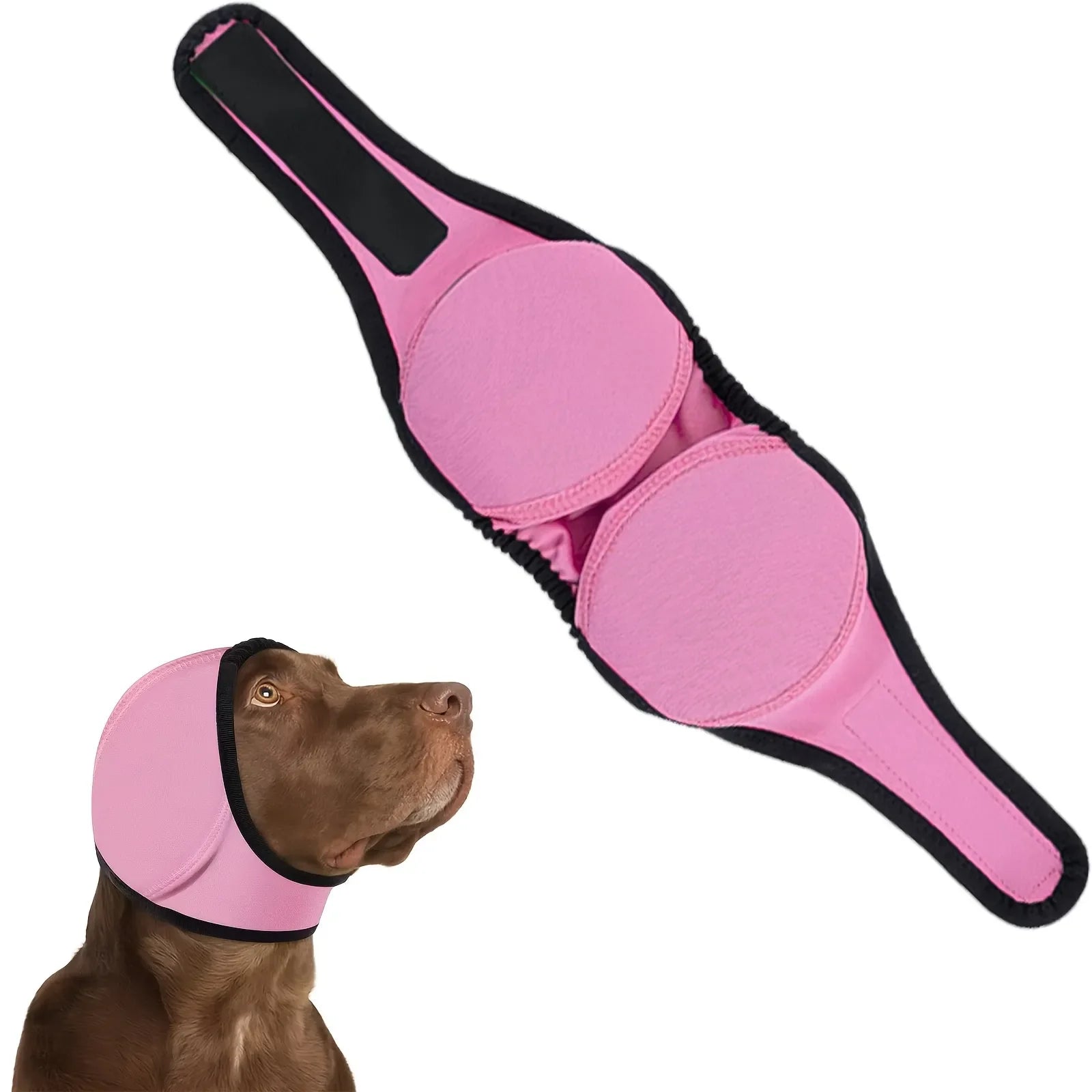 Cache-oreilles pour chien