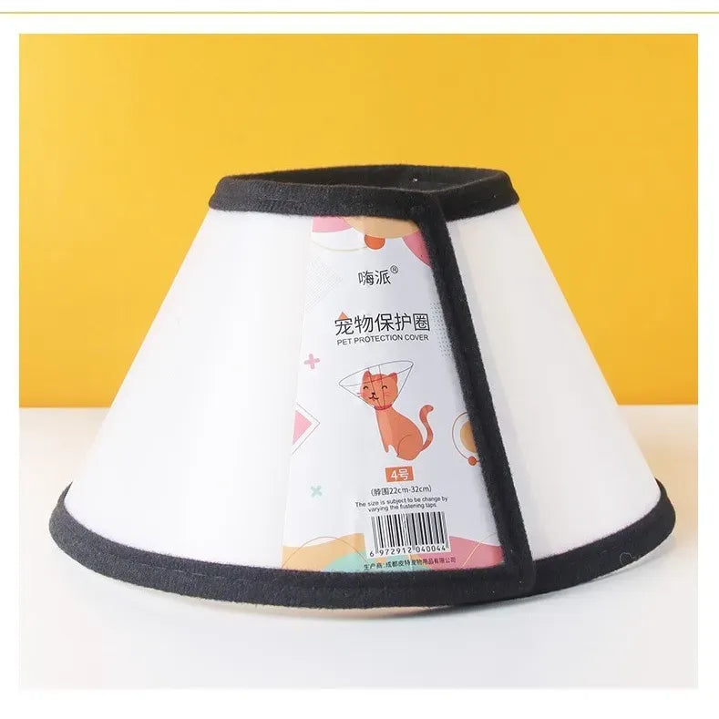Elizabethan collar