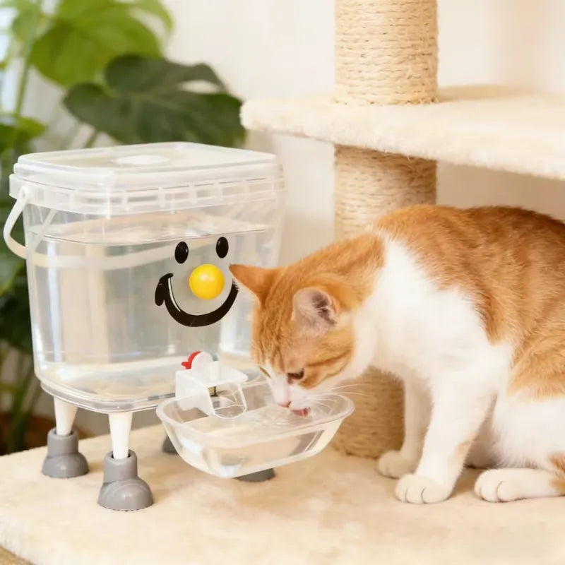 Water dispenser