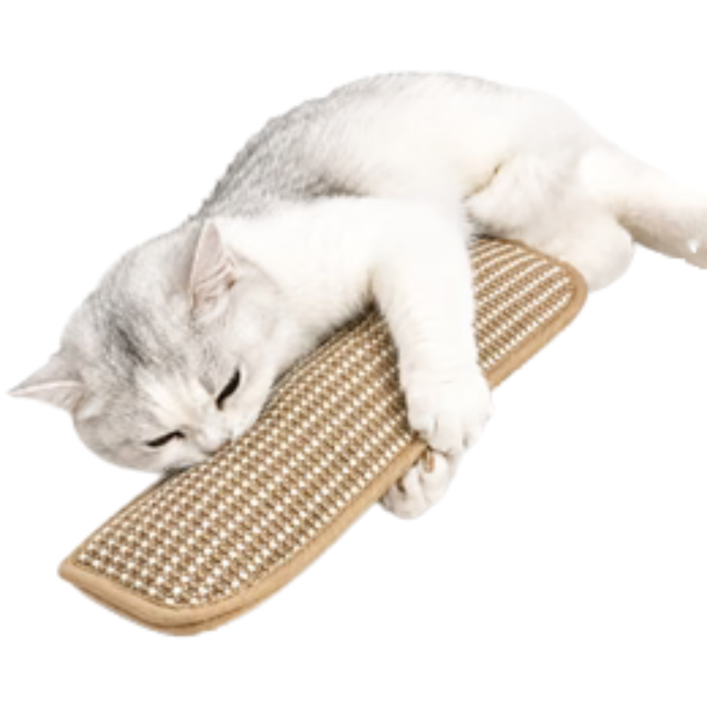 Coussin à griffer