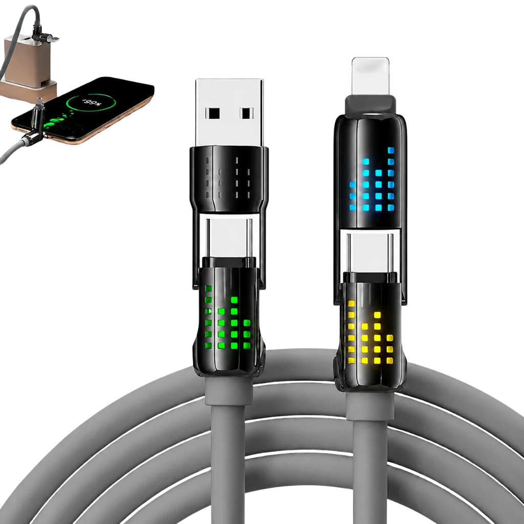 Universal Charger