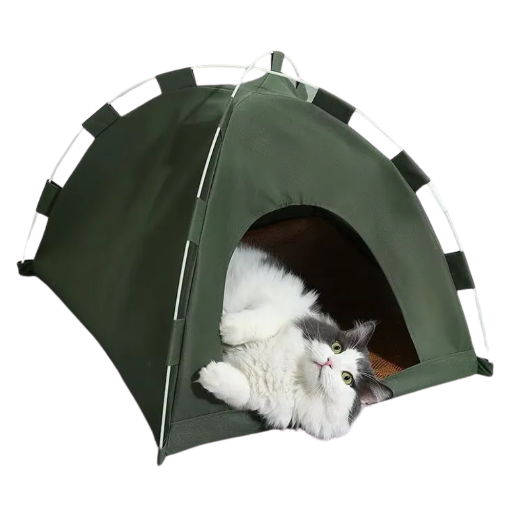 Tente pour chat