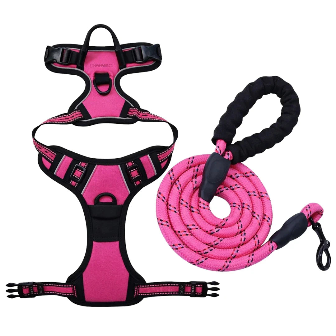 Harnais pour chiens
