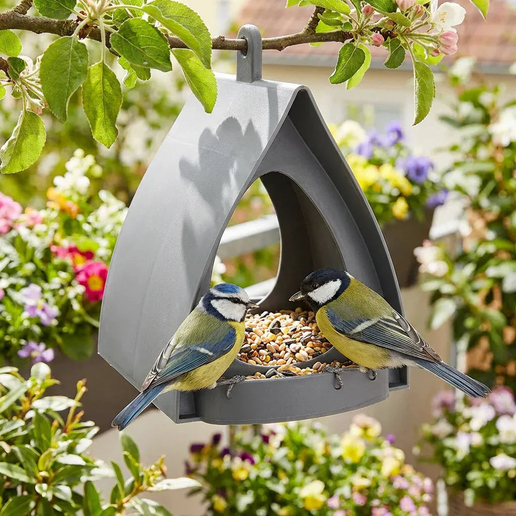 Mangeoire oiseaux