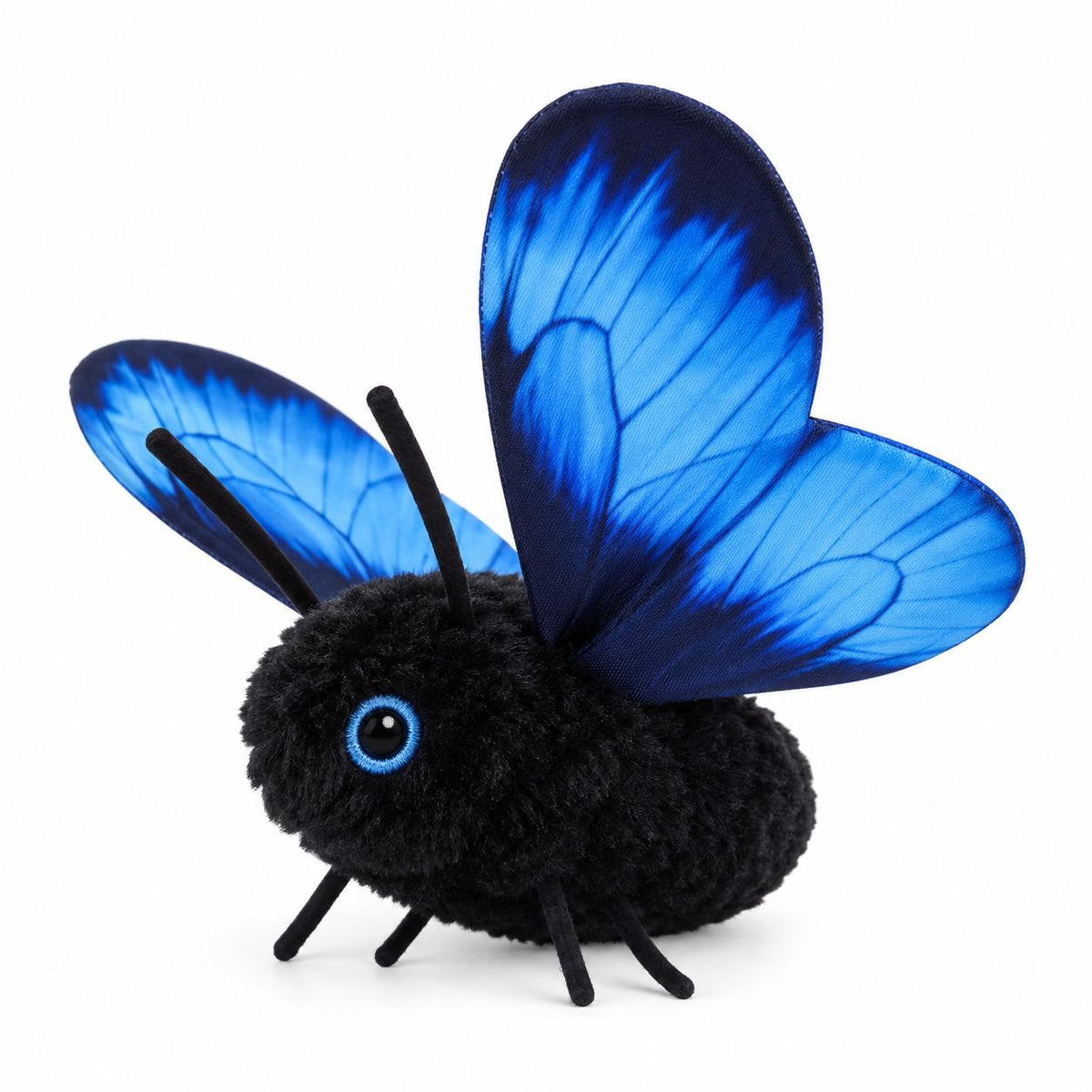 Papillon pour chat