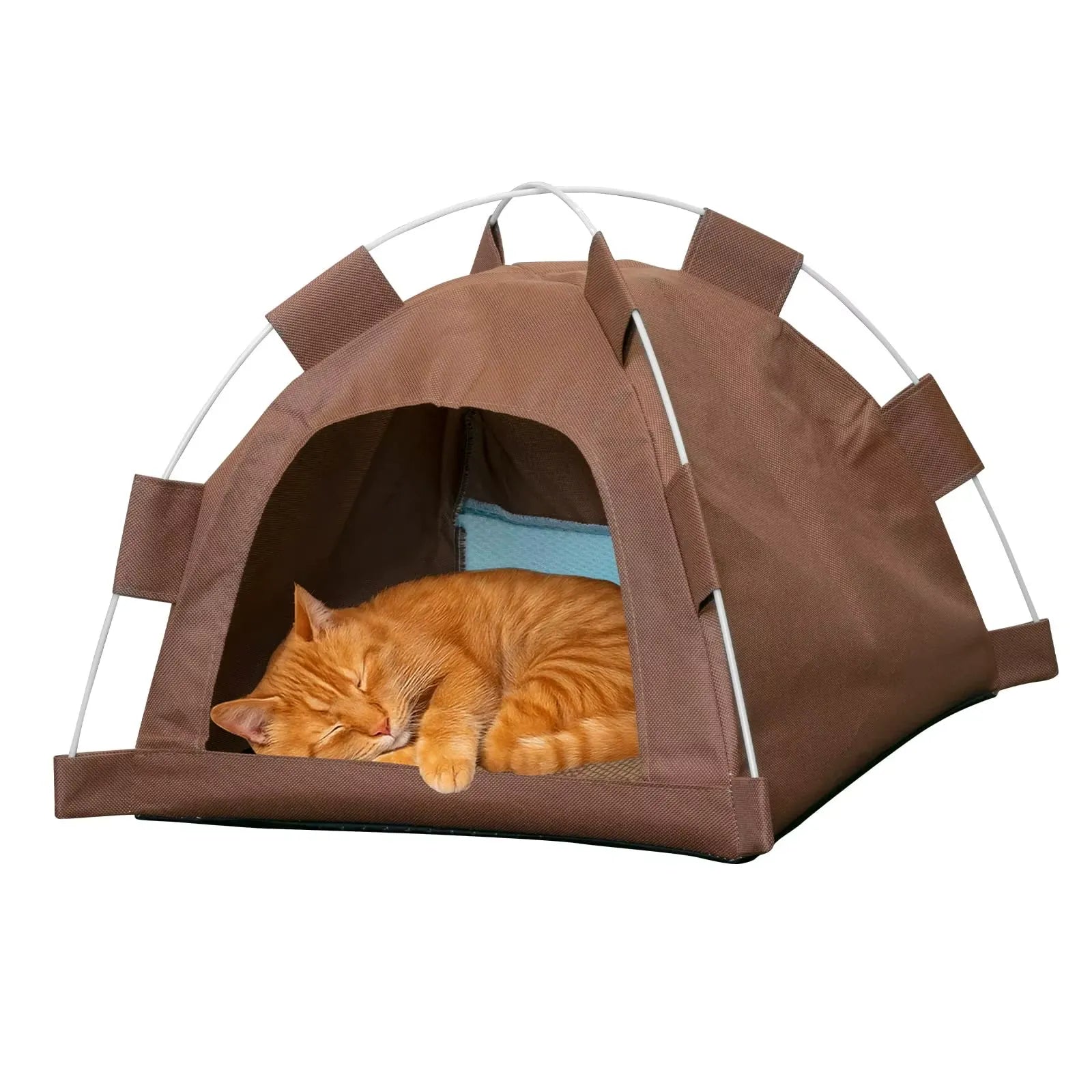 Cat tent